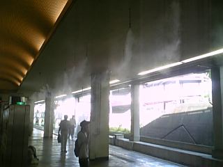 080812_134725.jpg
