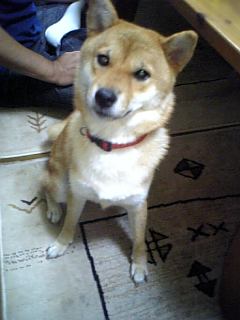 080920_224738.jpg