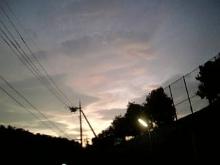 080925_175315.jpg
