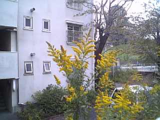 081019_133314.jpg